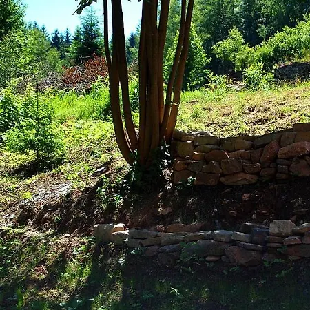 Chalet Klimaty- Kamienczyk *