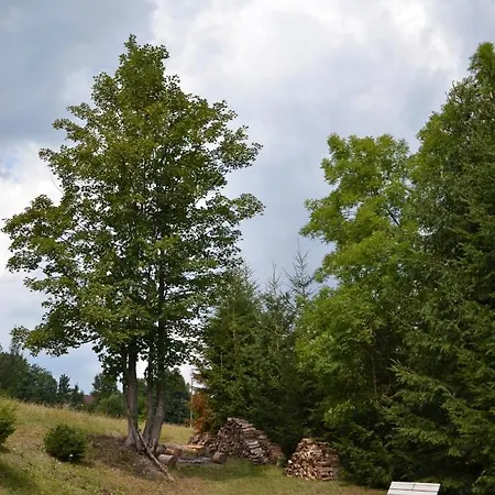 Klimaty- Kamienczyk مينزليجة