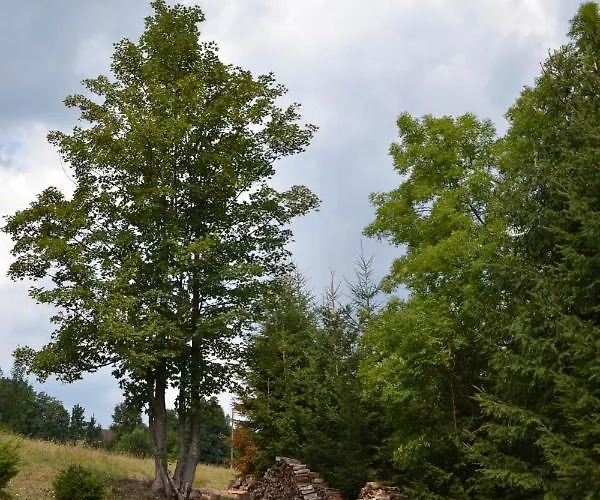 Klimaty- Kamienczyk Międzylesie